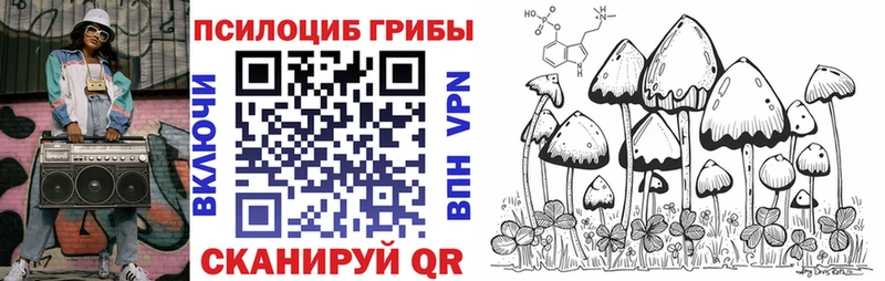 гидра ТОР Кинешма Псилоцибиновые грибы Psilocybine cubensis