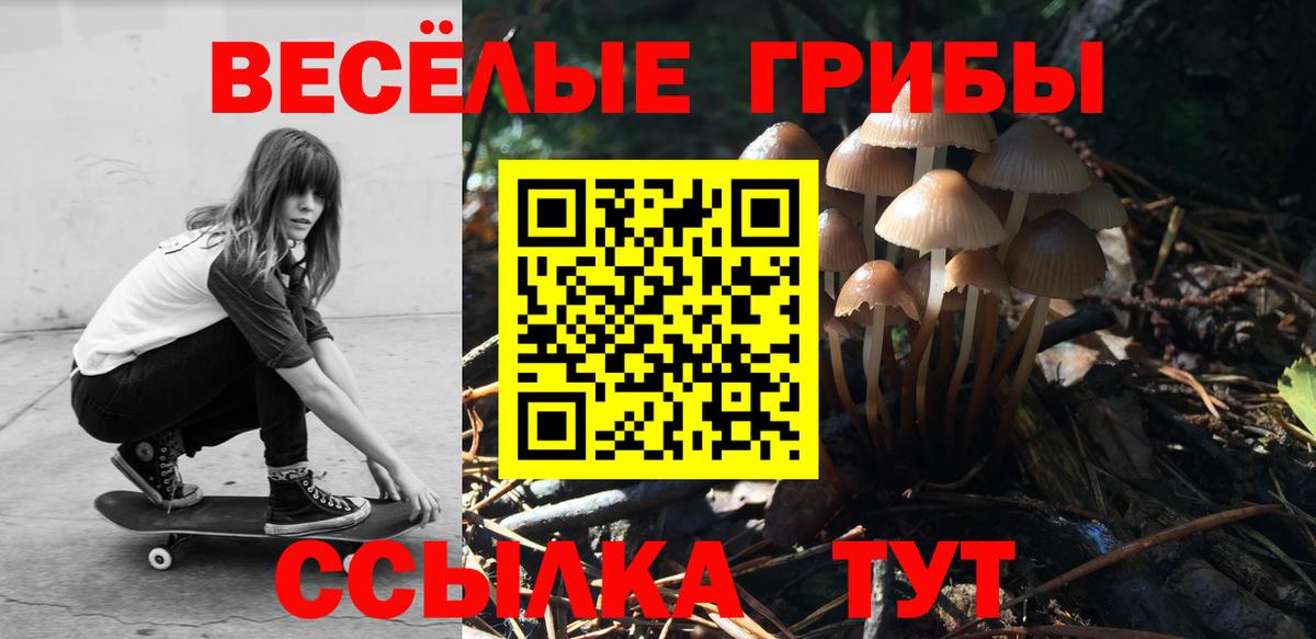 Псилоцибиновые грибы мицелий Кинешма