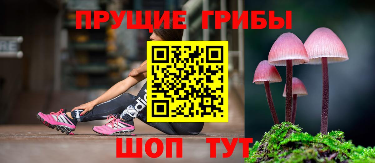 Галлюциногенные грибы мухоморы  Галлюциногенные грибы ЛСД  Вход с VPN  Кинешма 